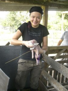 birthing piglets Ecuador conservation