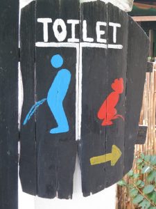 squat toilet hand painted sign
