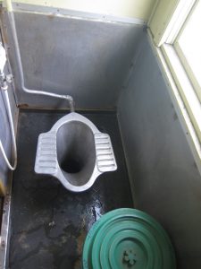 raised train squat toilet