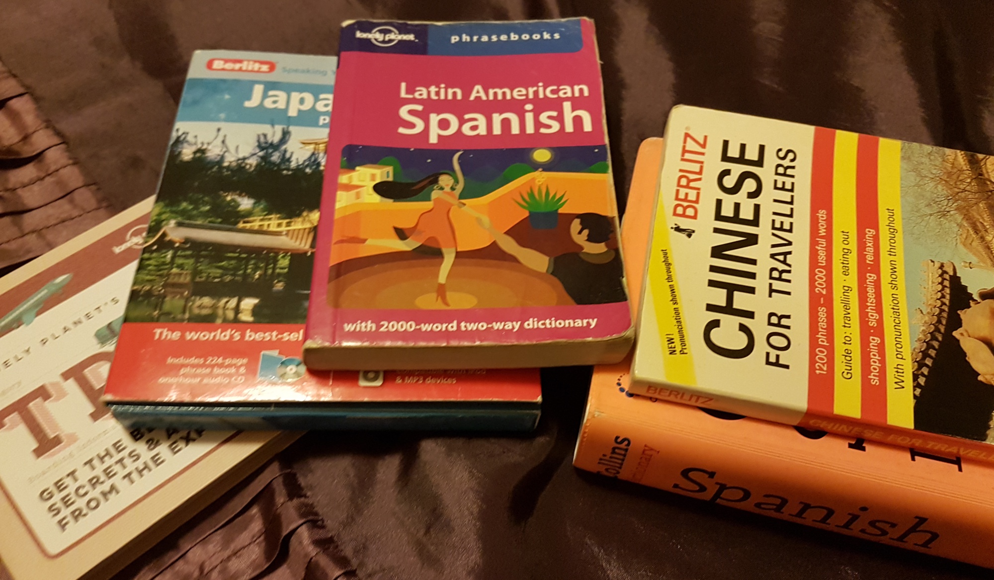 language travel book