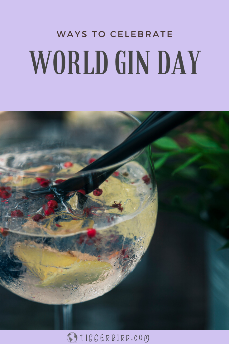 Ways to celebrate World Gin Day Tiggerbird's Travels